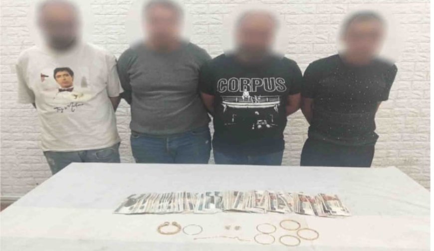 نتائج جهود الأجهزة لأمنية بالقاهرة مكافحة جرائم السقات