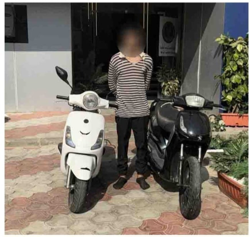 نتائج جهود الأجهزة لأمنية بالقاهرة مكافحة جرائم السقات