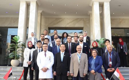 في إطار التعاون المصري-الياباني وبحضور ممثل منظمة لصحة العالمية في مصر.. الصحة: وفد ياباني يشيد بالخدمات المتميزة في مستفى دار الشفاء