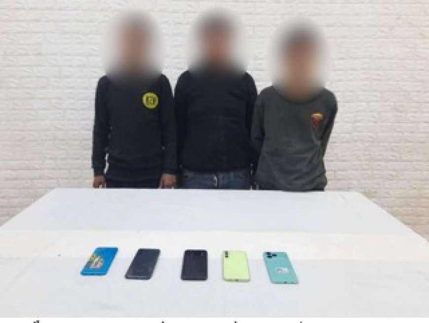 نتائج جهود الأجهزة الأمنية بالقاهرة لمكافحة جرائم لسرقات