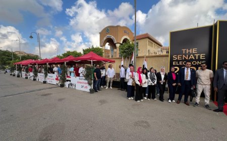 إقبال كثيف بالقاهرة في ثاني أيام انتخابات مجلس الشيوخ 2025