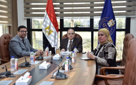 هيئة الدواء المصرية تشارك في الاجتماع الافتراضي لمدير عام وكالة الأدوية الإفريقية لتعزيز التكامل التنظيمي بالقارة