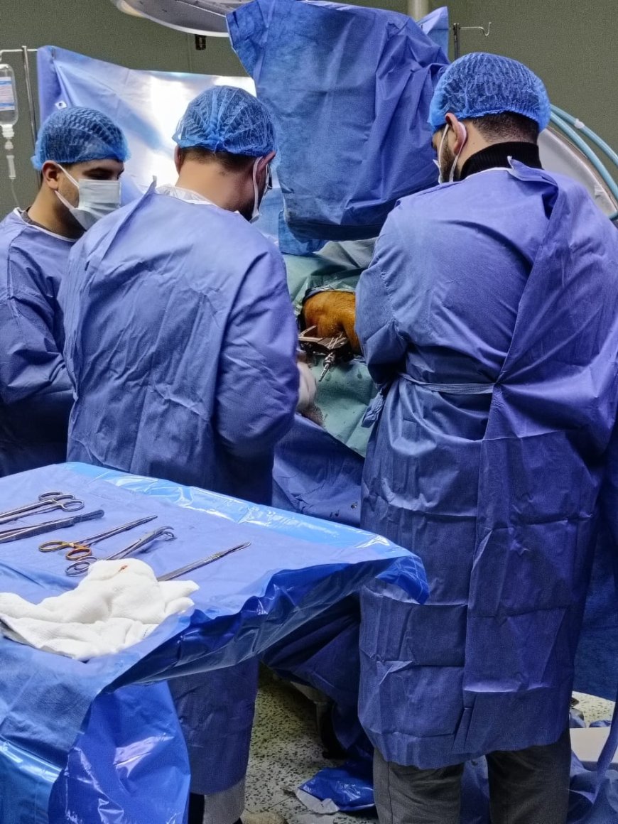 تدخل جراحي عاجل ينقذ مريض فشل كلوي من مضاعفات كسر أعلى الفخذ بمستشفى وادي النطرون التخصصي