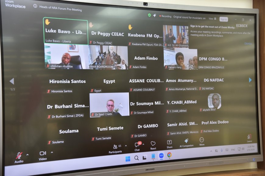 هيئة الدواء المصرية تشارك في الاجتماع الافتراضي لمدير عام وكالة الأدوية الإفريقية لتعزيز التكامل التنظيمي بالقارة