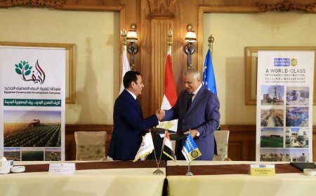 بتوجيهات الدولة نحو تعظيم الرقعة الزراعية.. 6 محطات كهرباء جديدة لخدمة مليون فدان بسهل المنيا الغربي