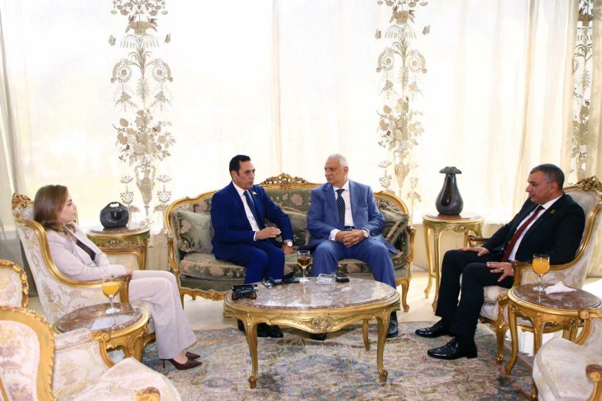 بتوجيهات الدولة نحو تعظيم الرقعة الزراعية.. 6 محطات كهرباء جديدة لخدمة مليون فدان بسهل المنيا الغربي